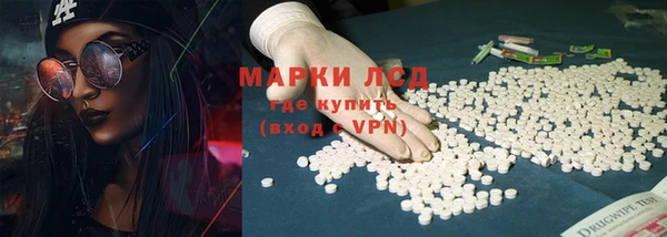 крисы Ростов