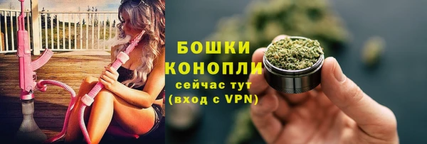 крисы Ростов