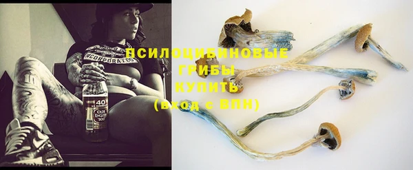 PSILOCYBIN Абдулино