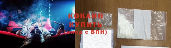 твердый Новоузенск