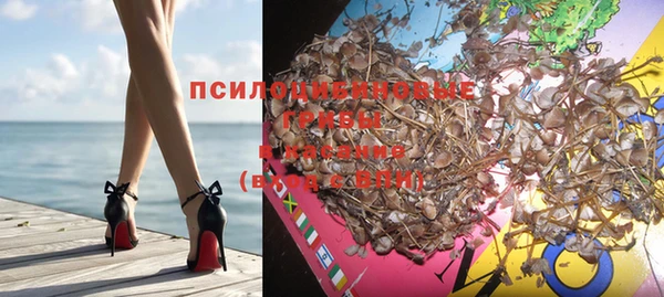 mdpv Приозерск