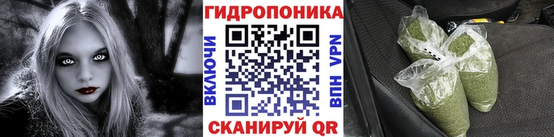 МАРИХУАНА ГИДРОПОН Урус-Мартан